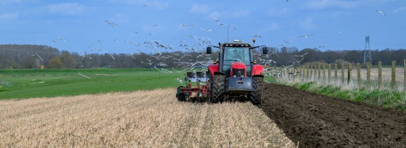 Koper in de biologische landbouw, dit is wat je moet weten